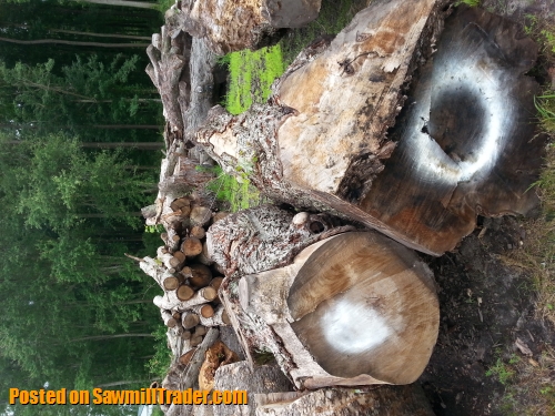 Used Portable Sawmills For Sale >> Large Diameter Old-Growth Maple Logs/Slabs/Lumber (MD) - Logs & Lumber : Logs for Sale Used Portable Sawmills For Sale >> Large Diameter Old-Growth Maple Logs/Slabs/Lumber (MD) - Logs & Lumber : Logs for Sale