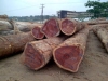 Timber Log and Sawn Wood for Sale
