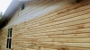 * * * Shiplap, V-Joint, Flooring, Siding, 1x12s RGH SYP + more SAWMILL DIRECT