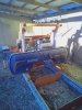 Norwood HD36V2 Sawmill with Setworks / Bed Extension - $15,400 (OH)