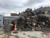 Logs for sale, NW Ohio