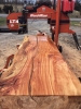 Portable sawmill services (VA) Rockbridge, Augusta, Botetourt, Bath, Nelson Counties