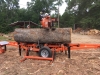Portable Sawmill Service in East Texas