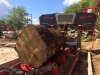 WRC 2000 FOR BIG LOGS