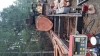 Timberking 2200 diesel Sawmill 